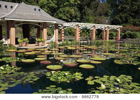 Huntsville botaniske haver