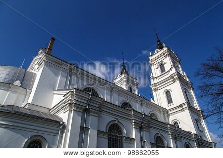 Catholic Cathedral In Ludza