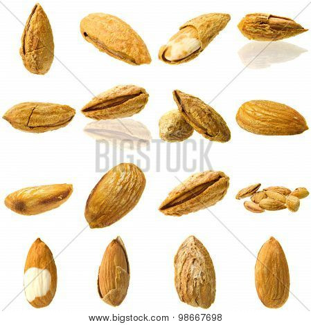 Almond Collection