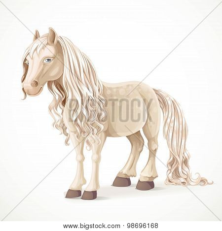 Cute White Pony Horse Isolated On A White Background