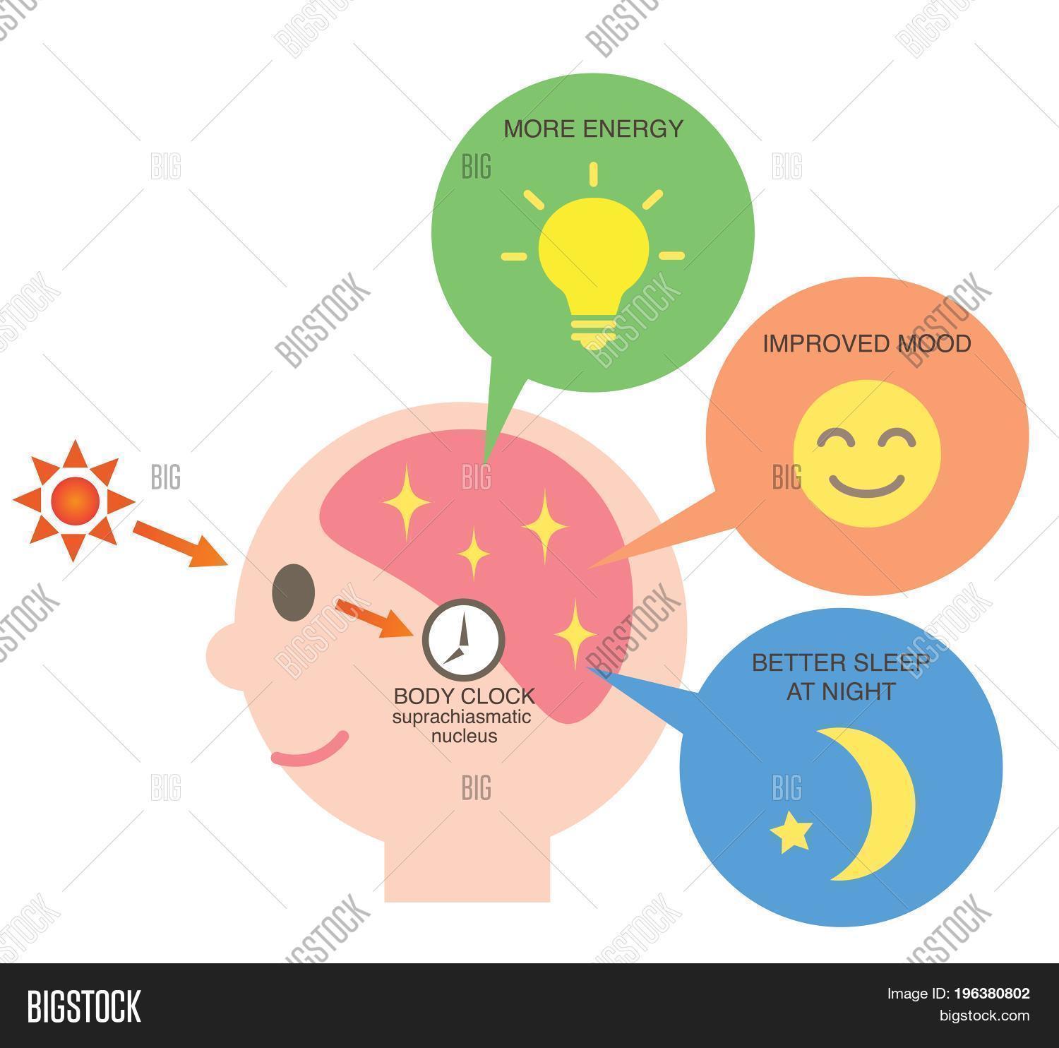 Health Benefit Image & Photo (Free Trial) Bigstock