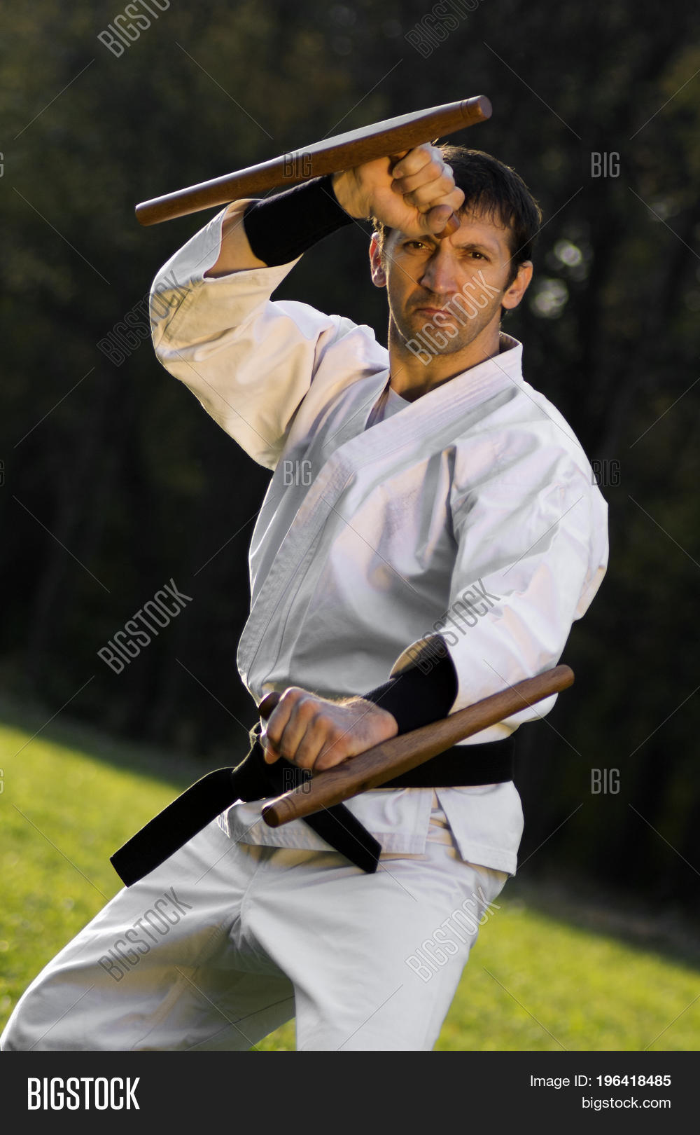 Expert Martial Arts Image & Photo (Free Trial) Bigstock