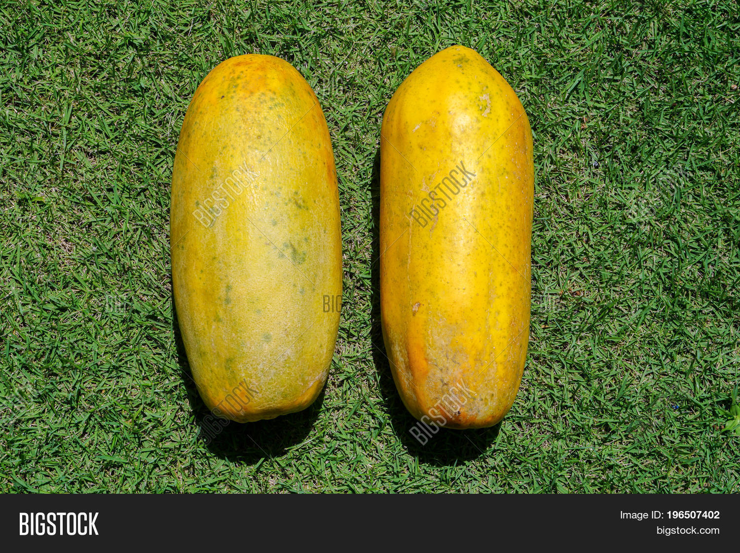 Fresh & Tasty Papaya. Image & Photo (Free Trial) Bigstock