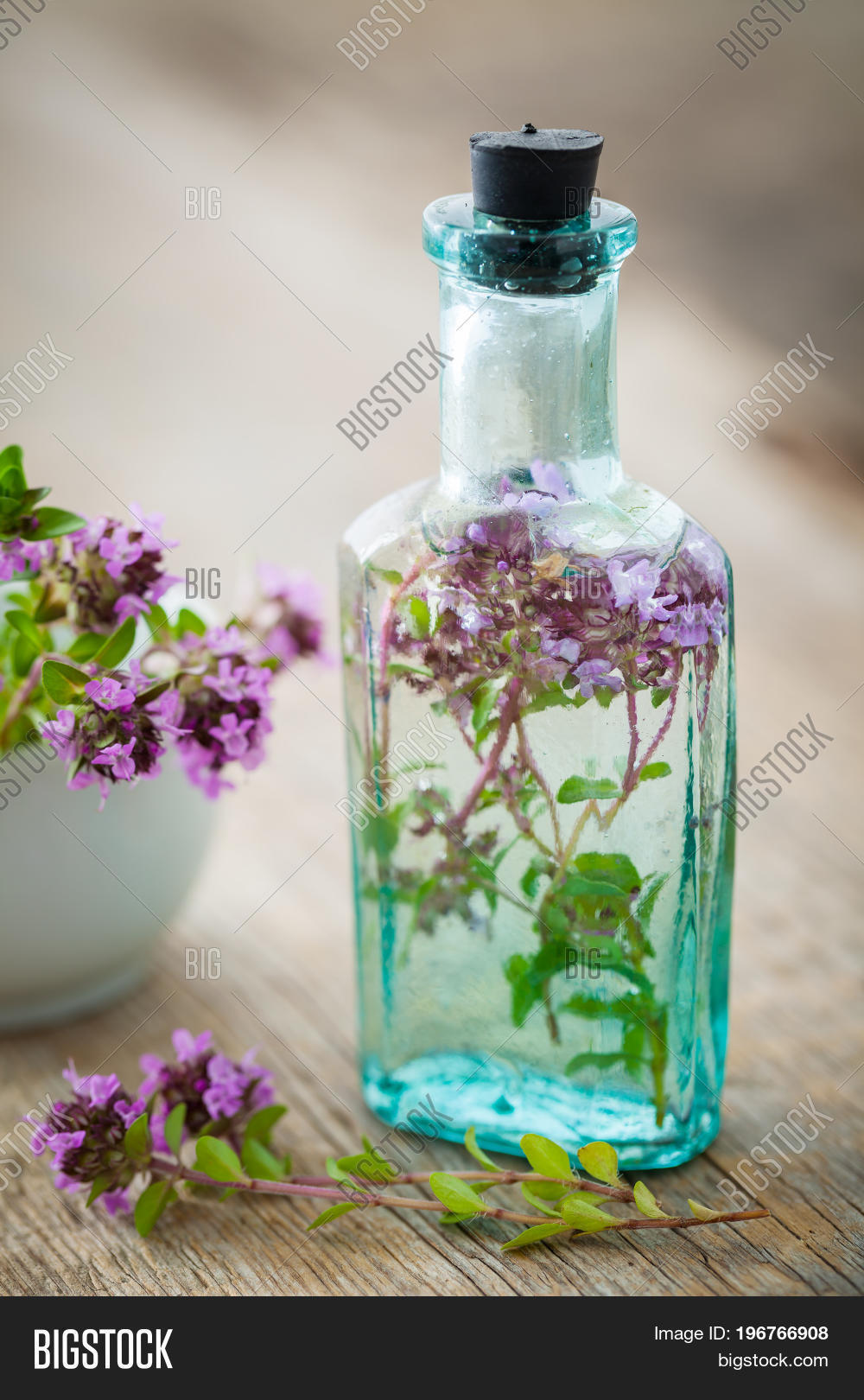 Vintage Bottle Thyme Image & Photo (Free Trial) Bigstock