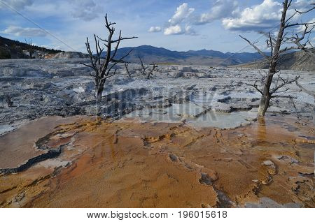 Mammoth Hot Springs in Yellowstone National Park