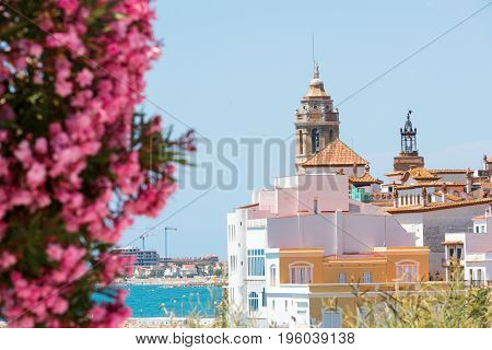 Blooming Oleander Against The Background Of The Historical Center In The Sitges, Barcelona, Cataluny