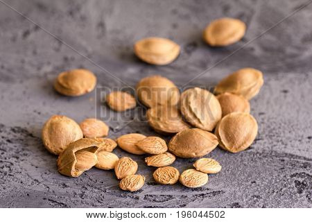 Apricot kernel on grey stone background. Vegetarian food