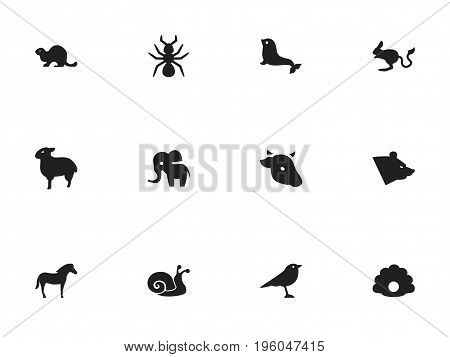 Set Of 12 Editable Animal Icons. Includes Symbols Such As Lamb, Bull, Conch And More