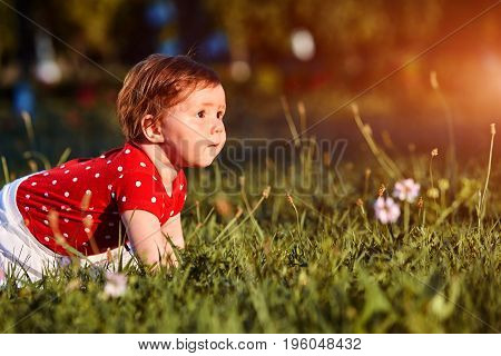 Close-up summer portrait of beautiful baby girl on the lawn in the park. Cute little girl in the white dress. Summer or spring season in the city park. Warm sunshiny day. Concept of the happy children.