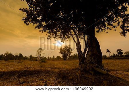 Landscape Of Don Det Laos
