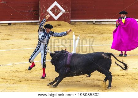 Spanish bullfight. The enraged bull attacks the bullfighter.Spain 2017 07.25.2017. Vinaros Monumental Corrida de toros. Juan Jose Padilla.