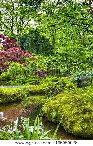 Travel Destinations. Picturesque Scenery of Japanese Garden in The Hague (Den Haag) in the Netherlands. Vertical Image composition