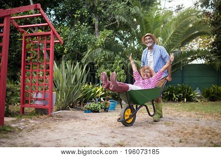 Happy senior man carrying woman in wheelbarrow while gardening at yard