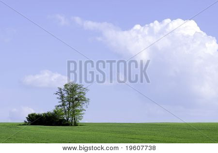 Grüne Landschaft