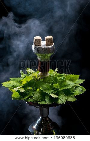 Mint smoking hookah with leafs on black background