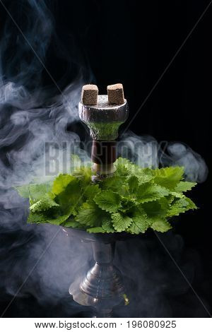 Mint smoking hookah with leafs on black background