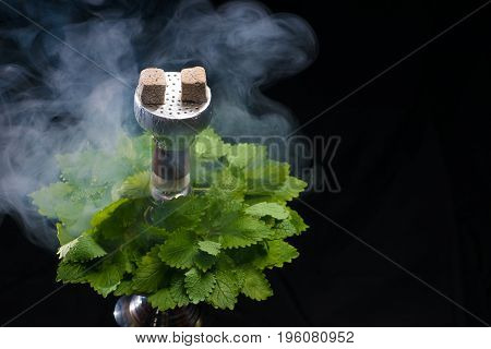 Mint smoking hookah with leafs on black background