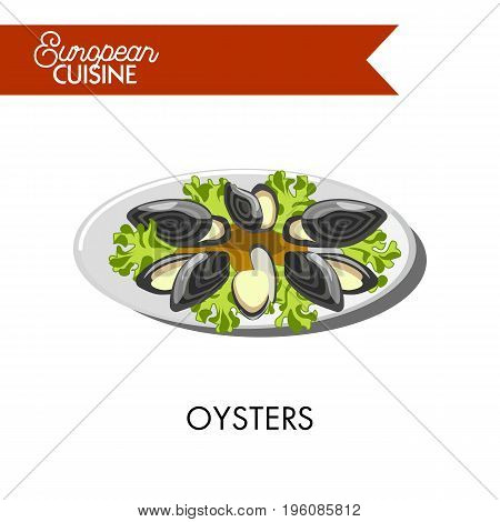 Extotic oysters with open shells and salad leaves from European cuisine. Fresh seafood with lemon juice and lettuce vector illustration on white background. Unusual dish simple in preparation.