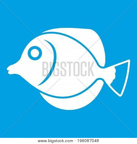 Tang fish, Zebrasoma flavescens icon white isolated on blue background vector illustration