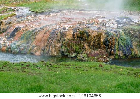 Colorfull Moss By A Srteam In Hveragerdi