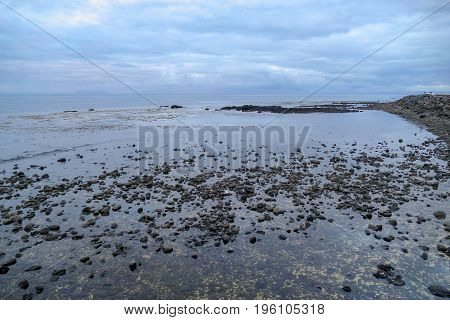 Stony Shore On Gardur In Iceland