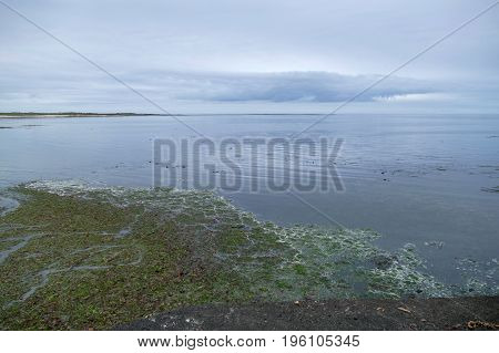 Stony Shore On Gardur In Iceland