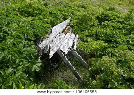 Decayed Part Of A Wooden Fishing Boat