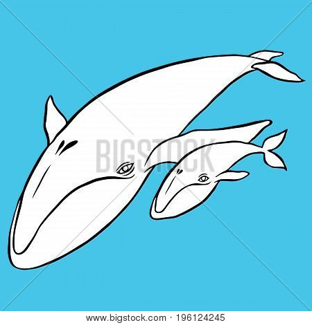 blue whale - watercolor hand drawing vector paint