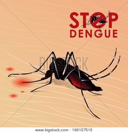 Stop Dengue fever with Mosquito sucking blood on skin vector design