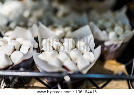 Chocolate Muffins Or Cupcakes Topped With Marshmellows