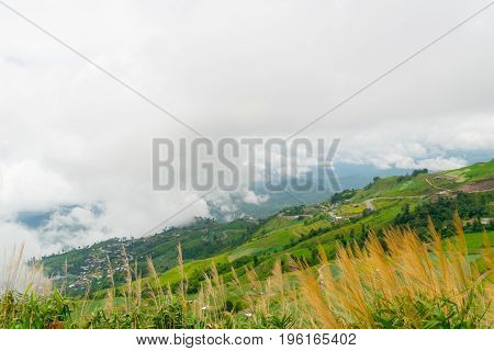 View nature mountain sky and fog phu tubberk thailand