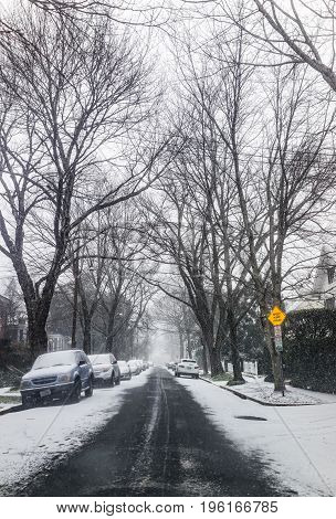 Washington Dc, Usa - January 7, 2017: Winter Snow Storm On Street With Parked Cars And Tall Trees
