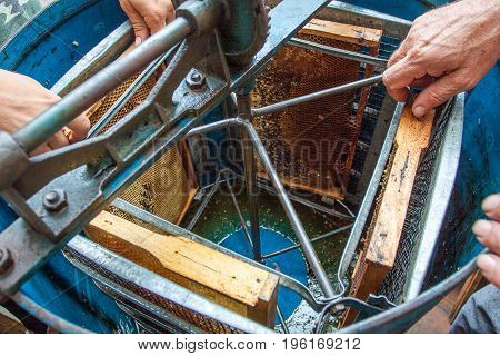 Blue Handy Extractor with honey comb. Use of a centrifugal extractor leaves the cells of the comb intact because you need only remove the pure wax cap that indicates finished honey