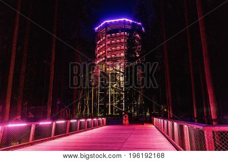 Color-lit Treetop Walkway in night Sightseeing trail in tree crowns. Wooden construction with a slide in the middle. Touristic place and unique constructionc. Treetop Walkway in Lipno Czech Republic
