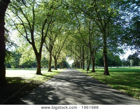 Park Avenue