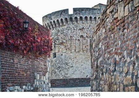 Inside Kalemegdan fortress at autumn, towers and walls with red leaves, Kalemegdan, Belgrade, Serbia