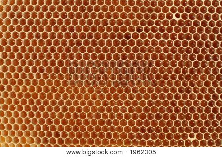 Honeycell