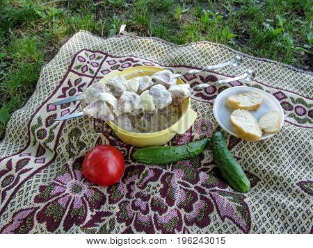 Ingredients for cooking outdoors lie on the blanket on the grass of the meadow. Meat bread cucumbers and