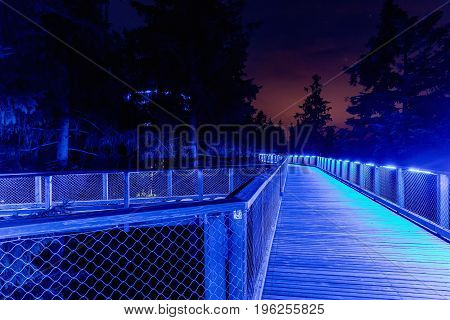 Color-lit Treetop Walkway in night Sightseeing trail in tree crowns. Wooden construction with a slide in the middle. Touristic place and unique constructionc. Treetop Walkway in Lipno Czech Republic