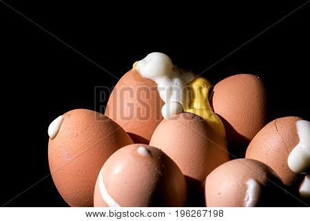 Hard boiled eggs erupted from shells. Seven pierced cooked eggs. Close up of exploded egg whites and yolk against black background.