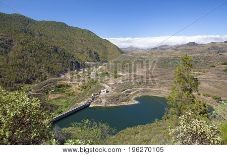 Gran Canaria, July, Tamadaba