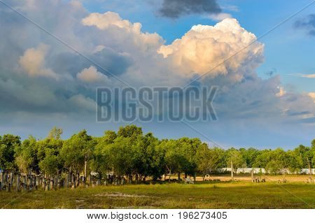 Monumental Huge Clouds