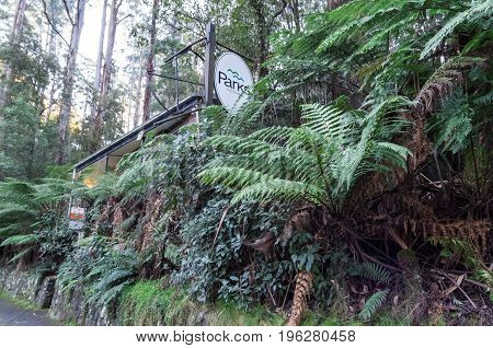 Gold Coast, Australia - July 11, 2017: Surfers Paradise sign on Cavill Avenue on the Gold Coast, a popular holiday destination.