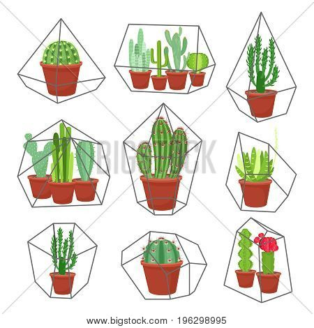 Geometric florarium with cactus and succulents set. Vector illustration isolated on white background.