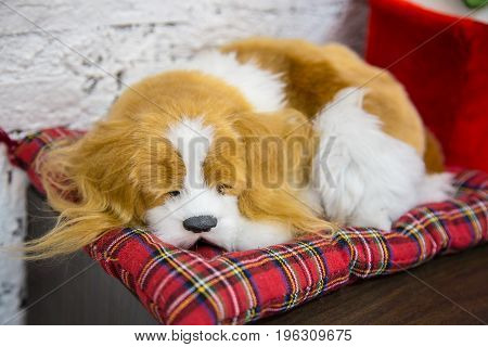 The dog is sleeping on a Scottish pillow for background (fake)