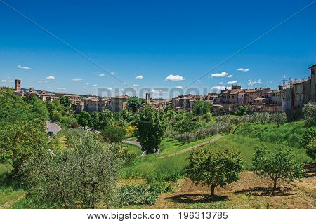 View of Colle di Val d'Elsa town with olive trees and vegetation at the front. A graceful village with its historic center preserved and known by its crystal production. Located in the Tuscany region