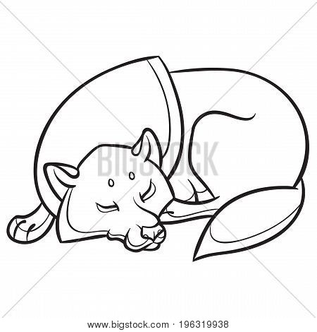 wild wolf sleep peacefully - vector graphics illustration