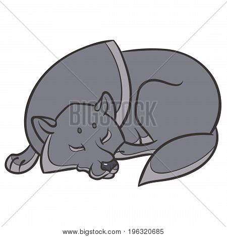 wild wolf sleep peacefully - vector graphics illustration