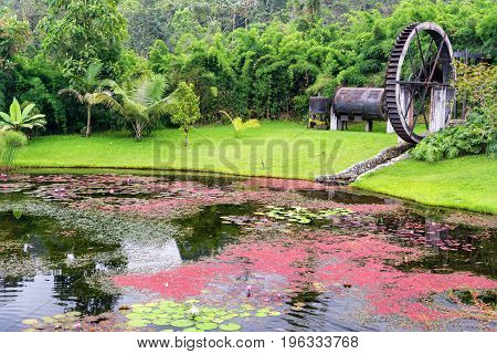 Colorful Pond And Watermill