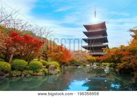 Kyoto, Japan - November 23 2015: Toji Temple, Literally 